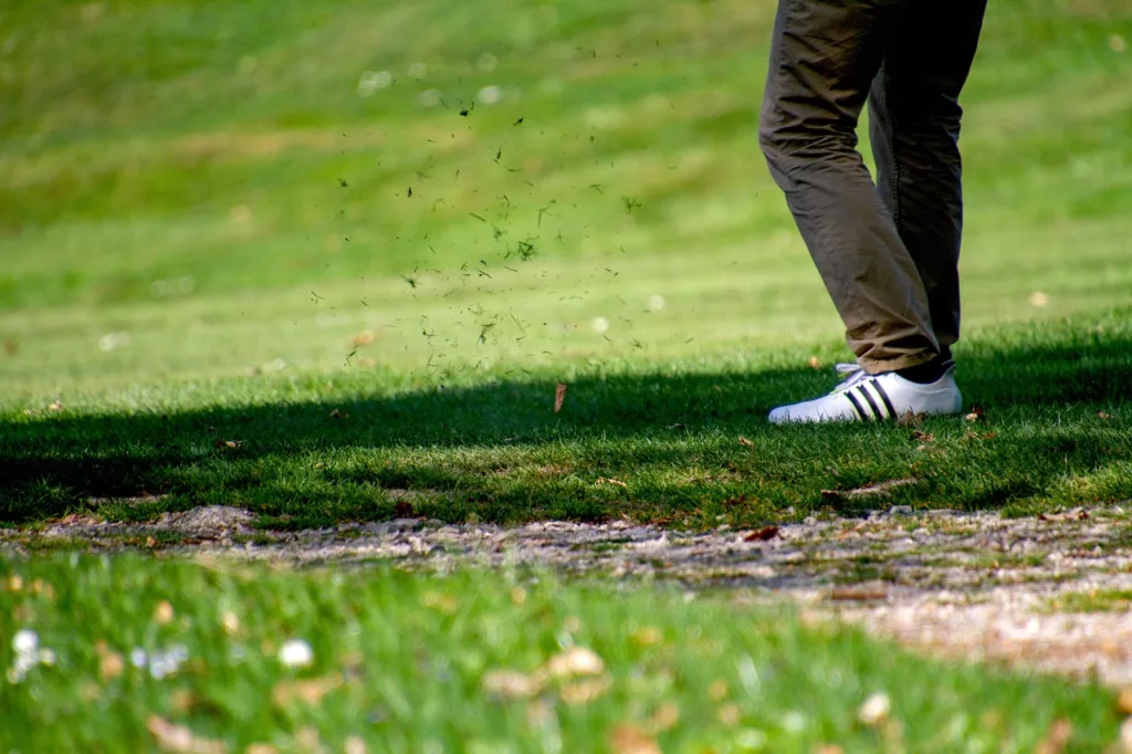 Beginners Guide To Golf Course Management