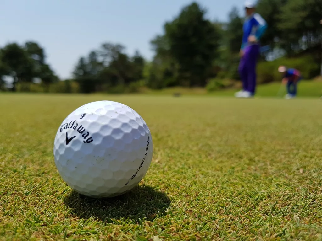 Beginners Guide To Golf Course Management