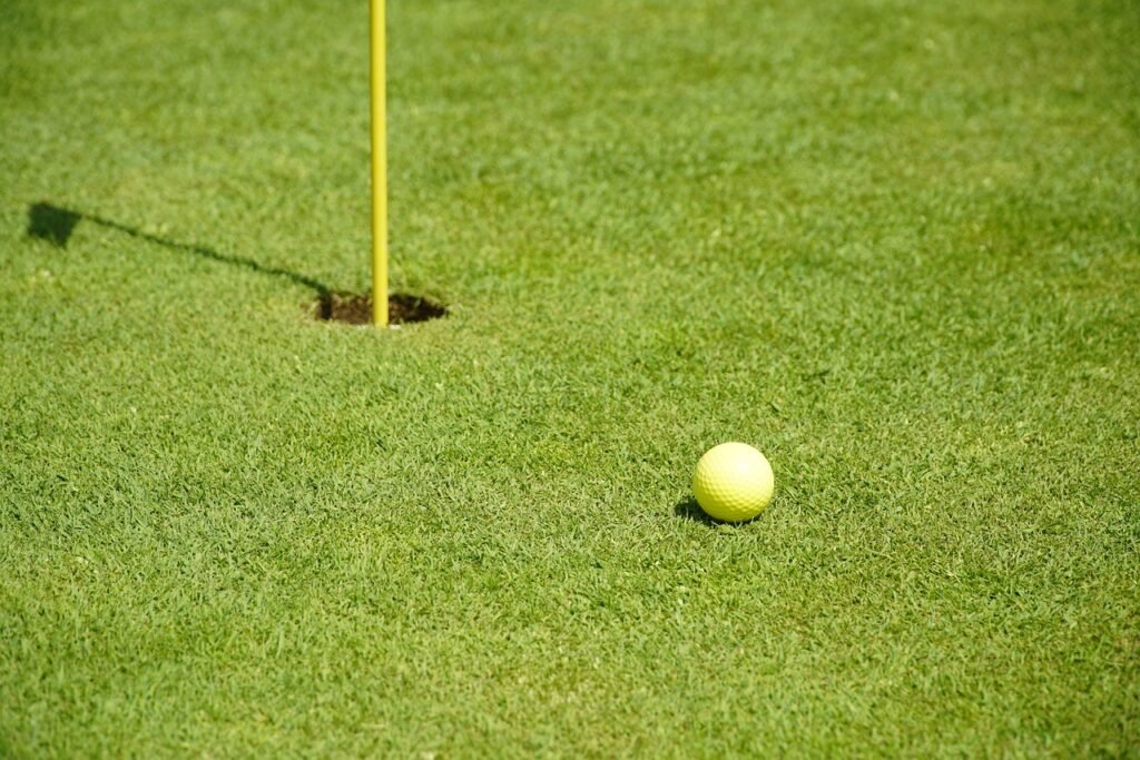 Tips For Perfecting Your Putting As A Beginner