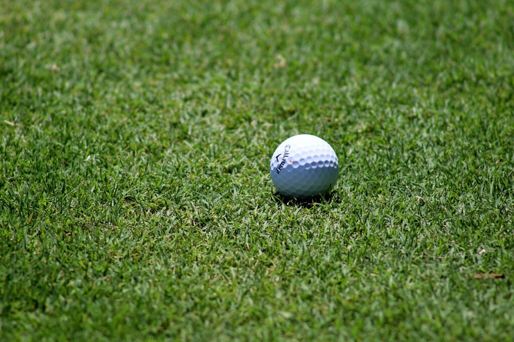 What Are The Major Golf Tournaments Worldwide?